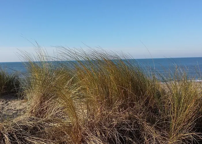 Joussac Côté - Devant L'océan * Soulac-sur-Mer