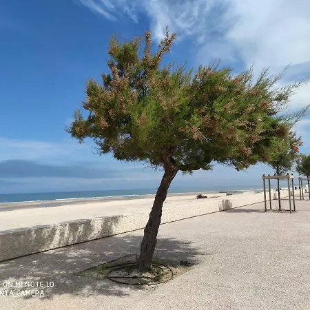 Joussac Cote Plage - Devant L'Ocean *