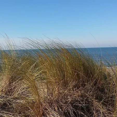 Joussac Cote - Devant L'ocean * Soulac-sur-Mer