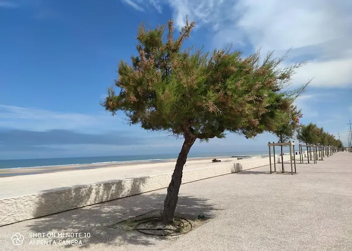 Joussac Cote - Devant L'ocean *